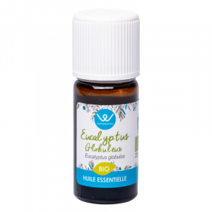 Eucalyptus globuleux : huile essentielle bio